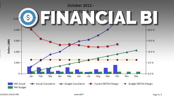 Financial BI