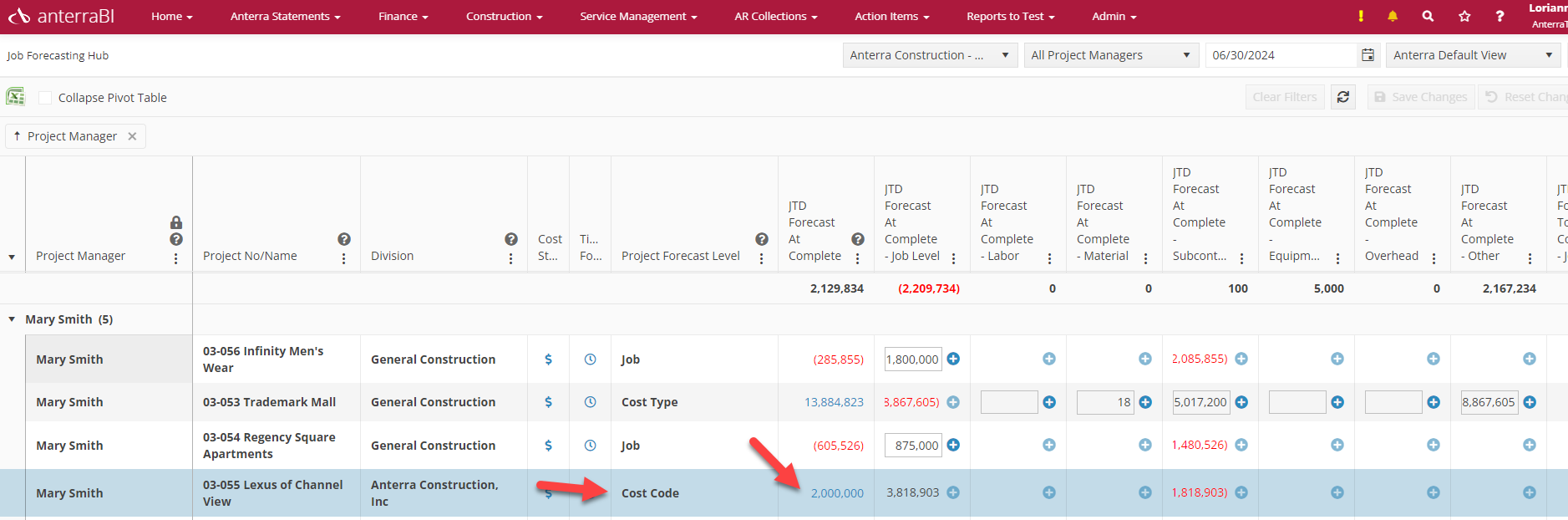 viewing the job at the Cost Code level