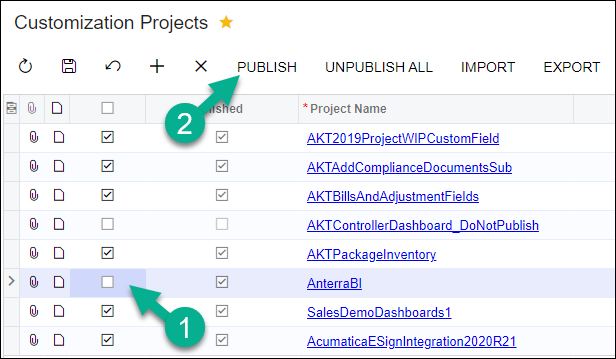 publish customization project